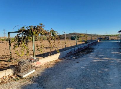 Finca / Country Property · Resale - San Miguel de Salinas · Alicante · Spain