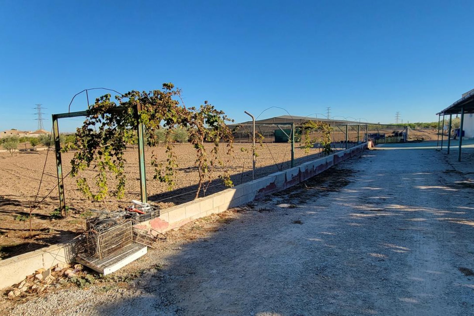 Herverkoop - Finca / Country Property - San Miguel de Salinas