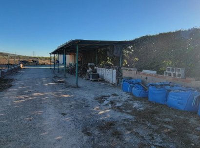Finca / Country Property · Resale - San Miguel de Salinas · Alicante · Spain