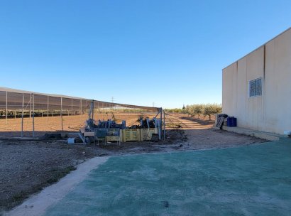 Finca / Country Property · Resale - San Miguel de Salinas · Alicante · Spain
