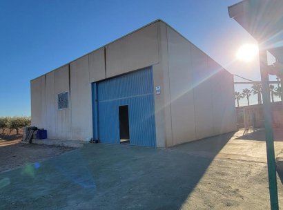Finca / Country Property · Resale - San Miguel de Salinas · Alicante · Spain