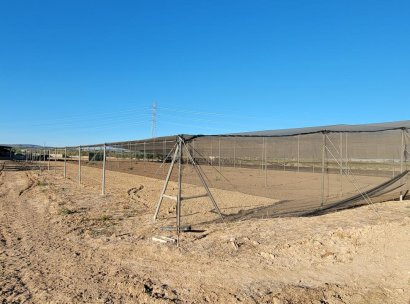 Finca / Country Property · Resale - San Miguel de Salinas · Alicante · Spain