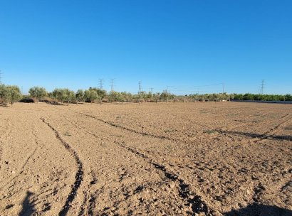 Finca / Country Property · Resale - San Miguel de Salinas · Alicante · Spain