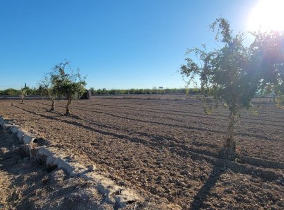 Finca / Country Property · Resale - San Miguel de Salinas · Alicante · Spain