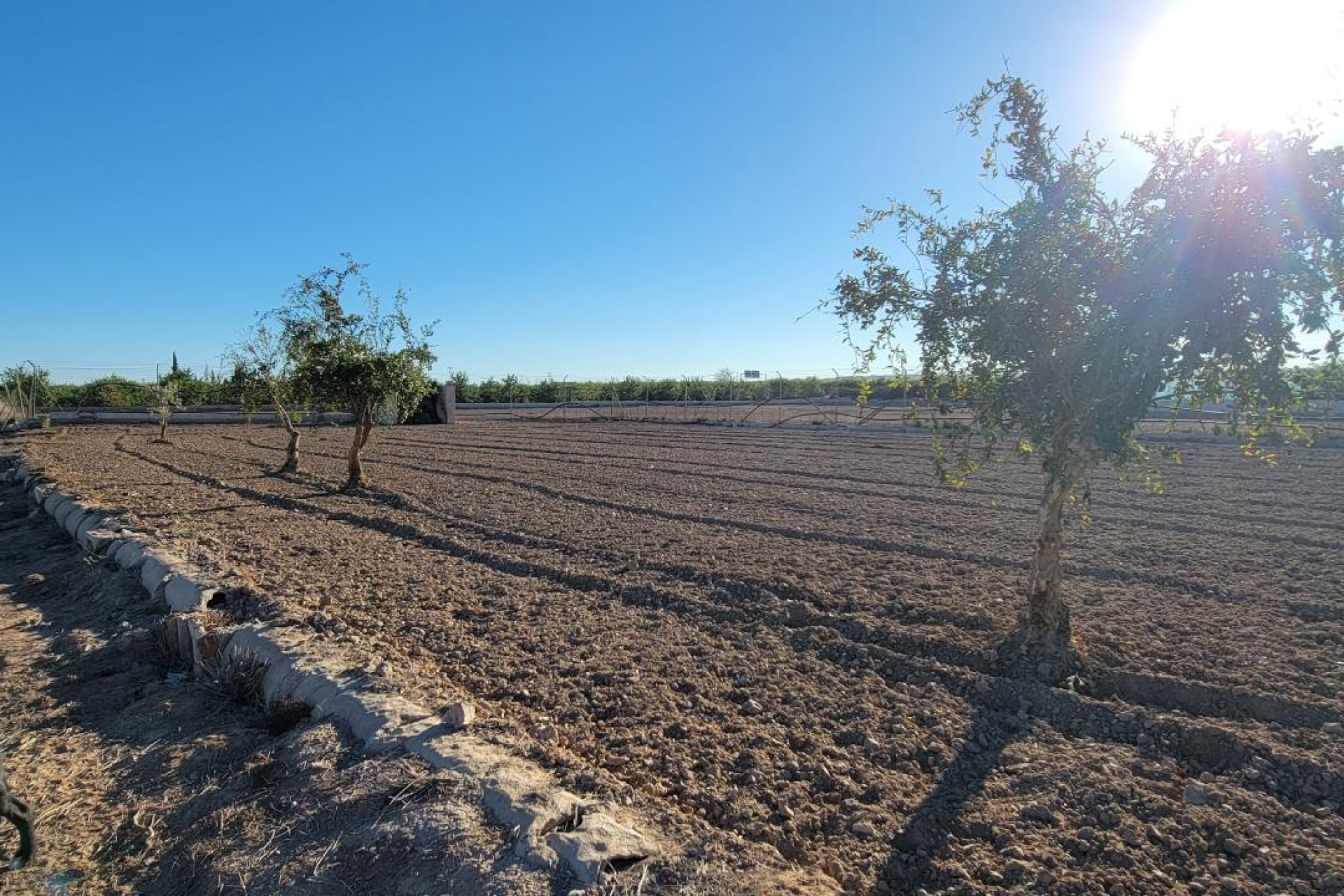 Herverkoop - Finca / Country Property - San Miguel de Salinas