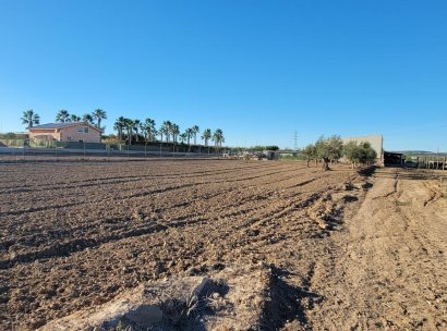 Finca / Country Property · Resale - San Miguel de Salinas · Alicante · Spain
