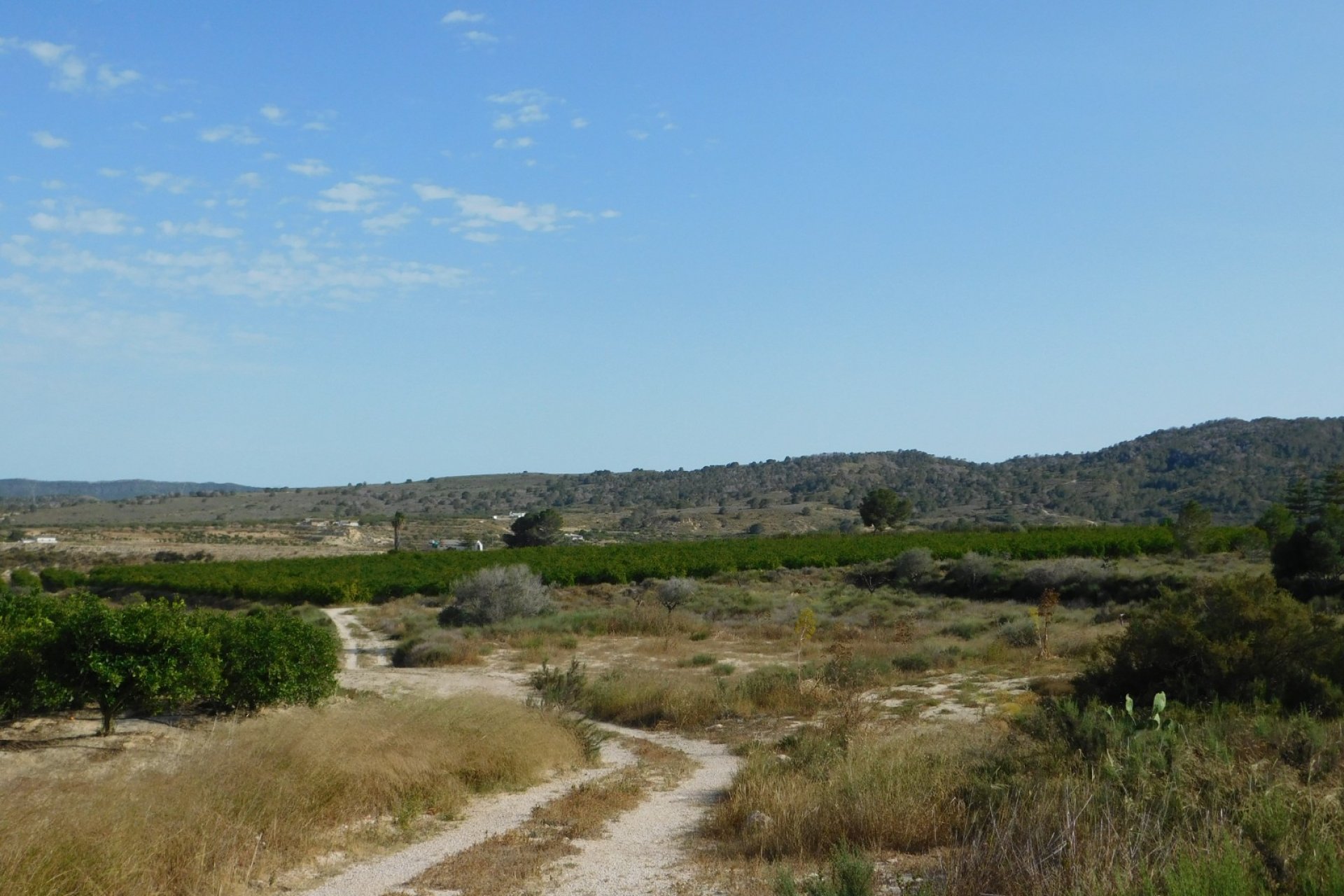 Resale - Plot / Land - Torremendo