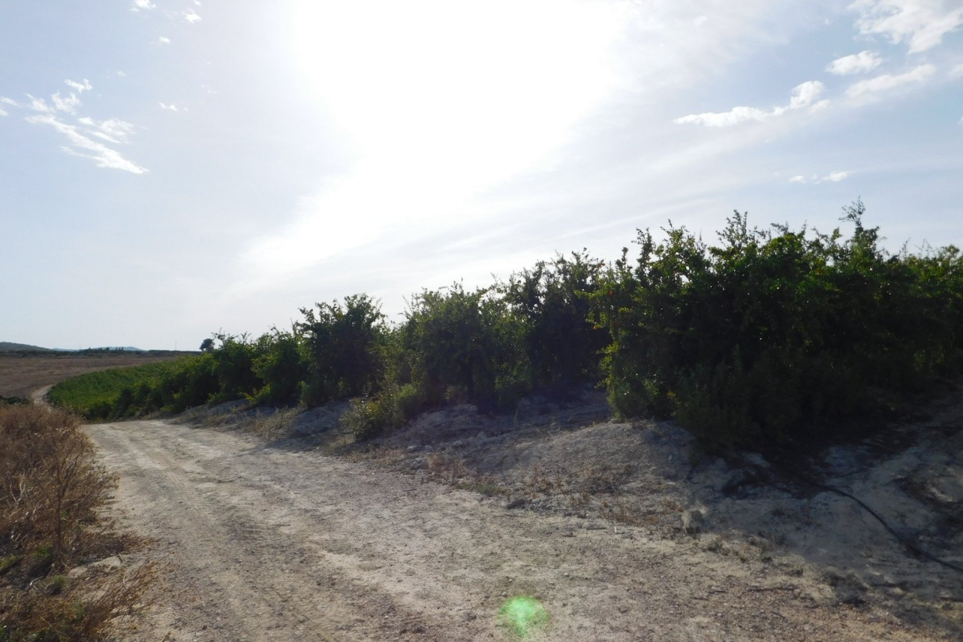 Resale - Plot / Land - Torremendo