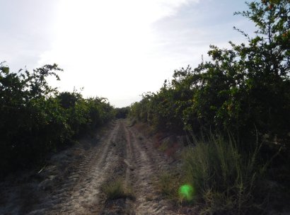 Plot / Land · Resale - Torremendo · Alicante · Spain