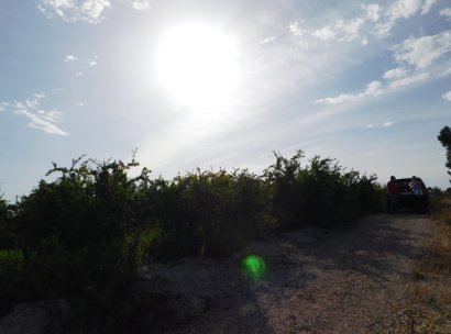 Plot / Land · Resale - Torremendo · Alicante · Spain