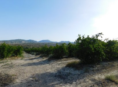 Plot / Land · Resale - Torremendo · Alicante · Spain