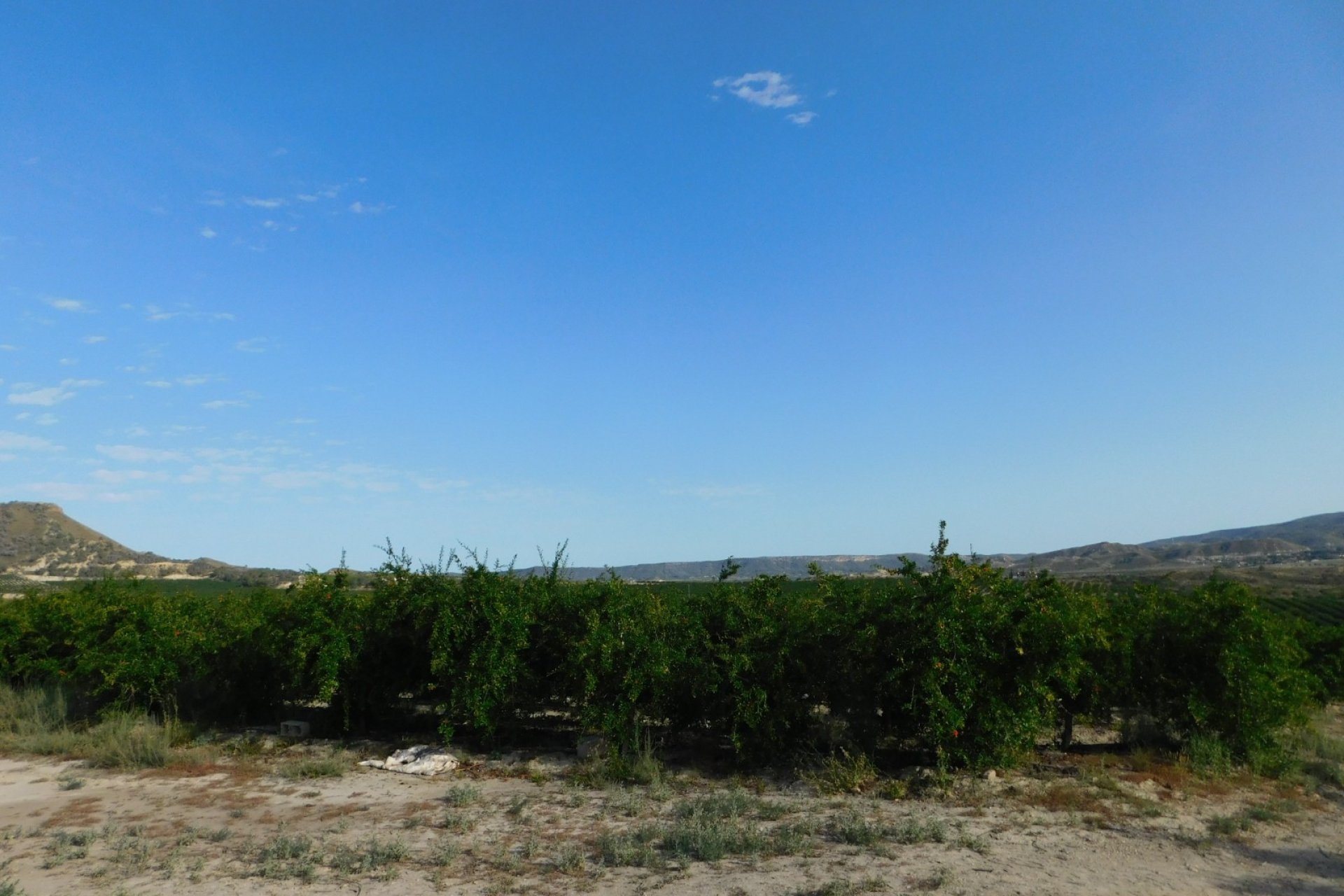 Resale - Plot / Land - Torremendo