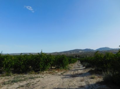 Plot / Land · Resale - Torremendo · Alicante · Spain