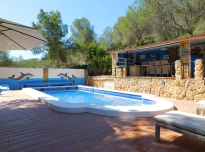 Finca / Country Property · Återförsäljning - Torremendo · Alicante · Spanien