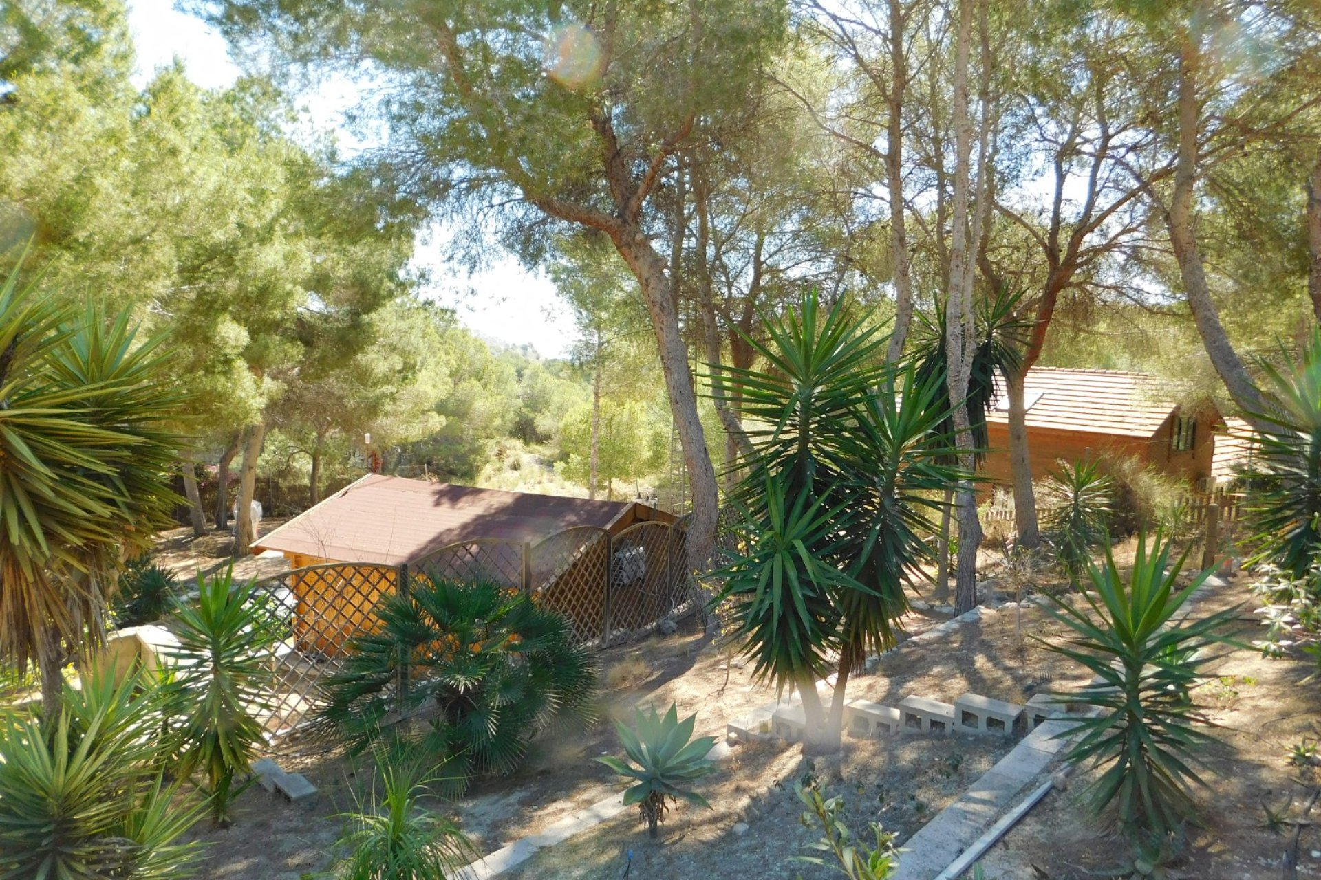 Återförsäljning - Finca / Country Property - Torremendo