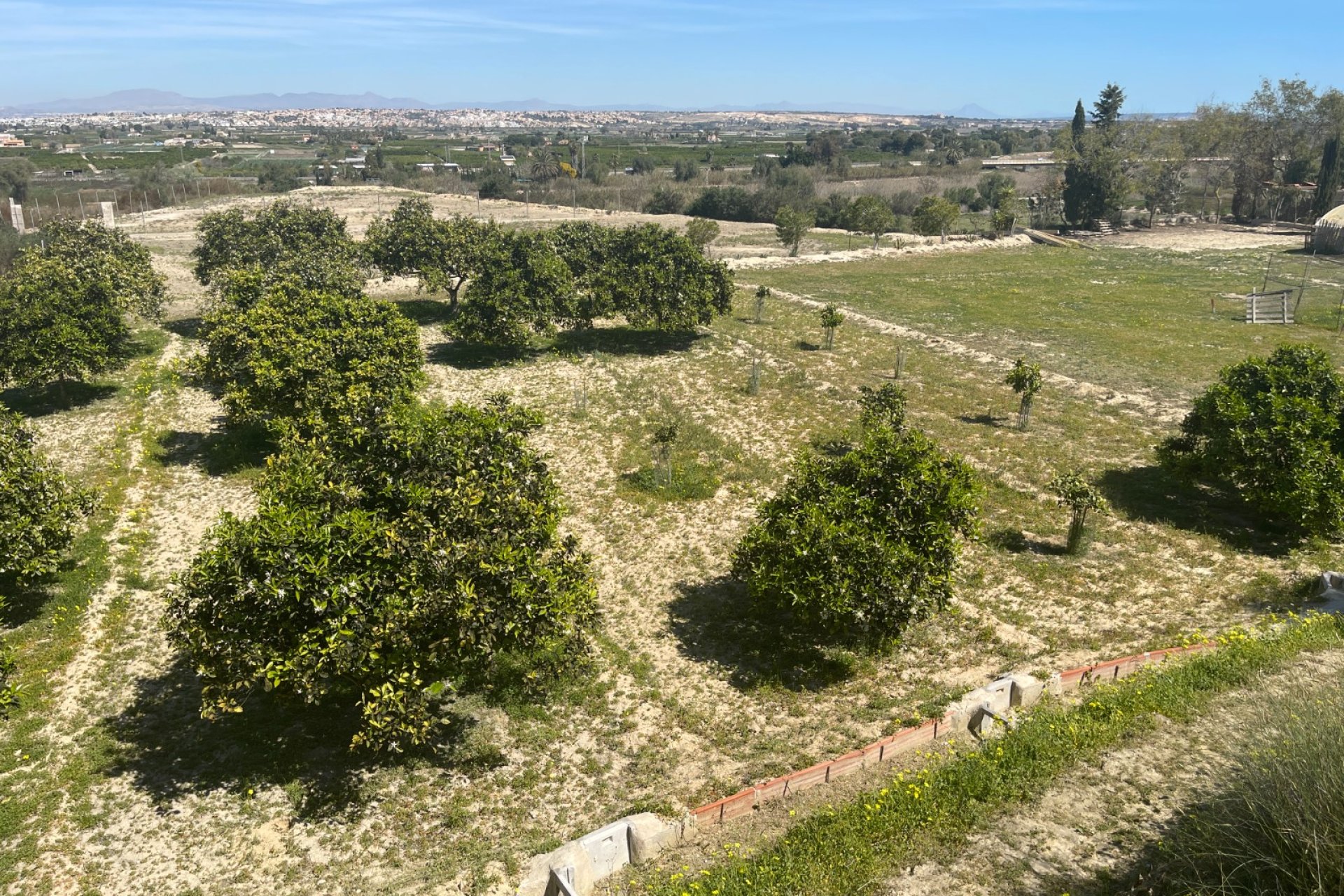 Resale - Villa - Guardamar del Segura - Costa Blanca South