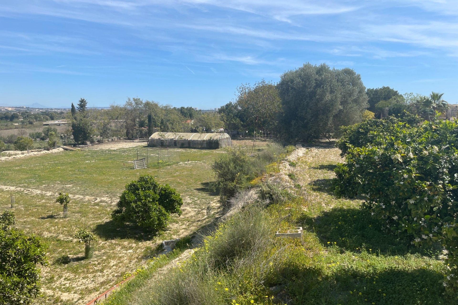 Resale - Villa - Guardamar del Segura - Costa Blanca South