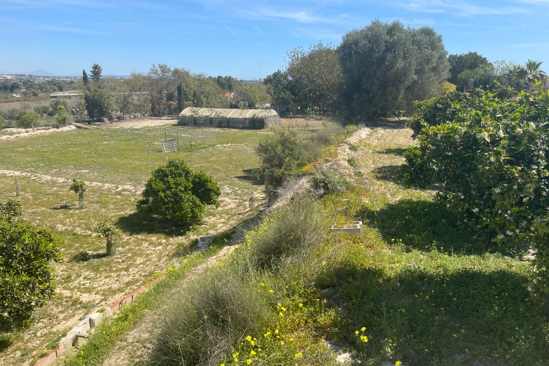 Resale - Villa - Guardamar del Segura - Costa Blanca South