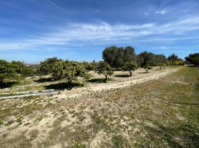Villa · Herverkoop - Guardamar del Segura · Valencian Community · Alicante · Spanje
