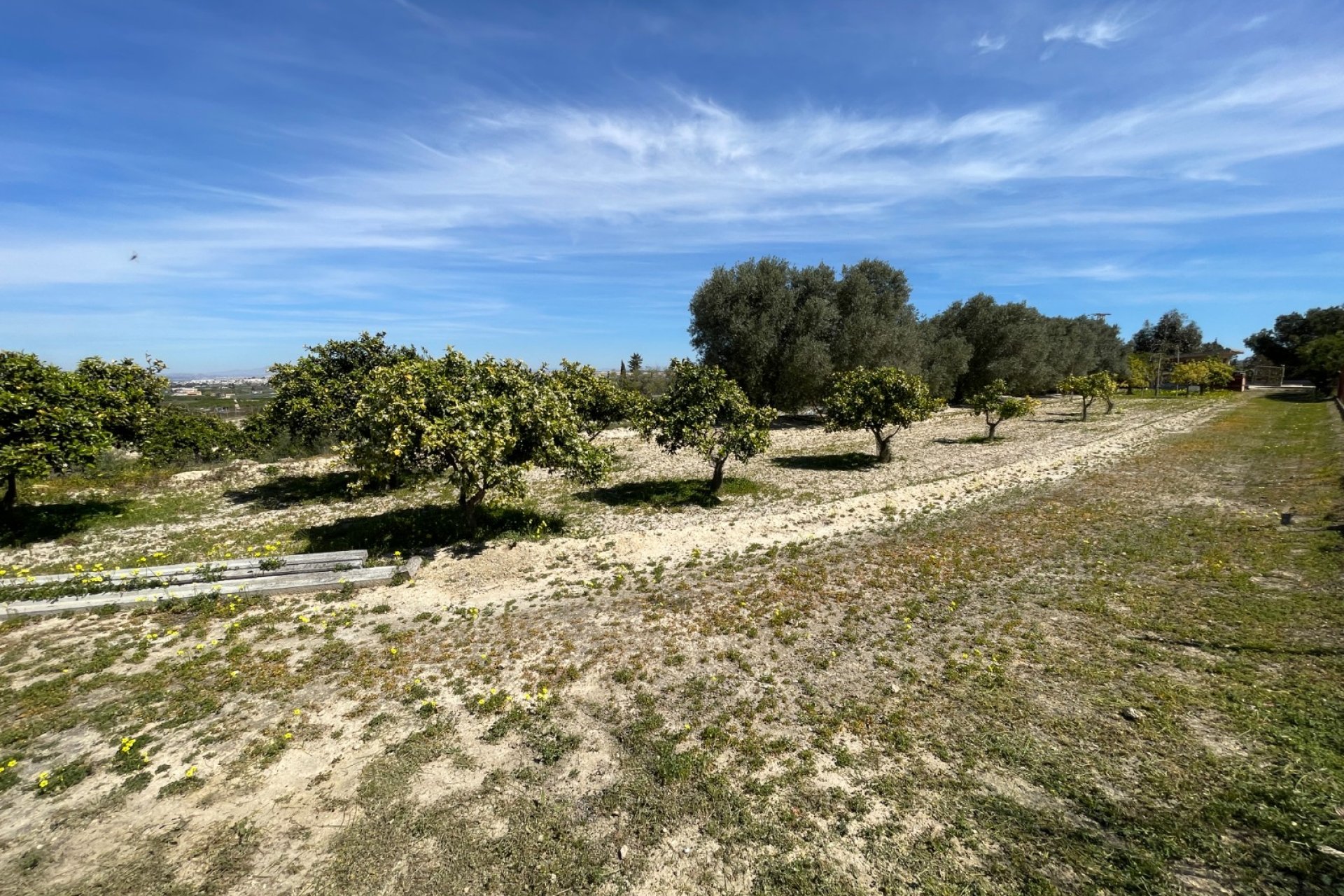 Resale - Villa - Guardamar del Segura - Costa Blanca South