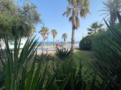 Kommerziell · Wiederverkauf - Torrevieia · Comunidad Valenciana · Alicante (Costa Blanca) · Spanien