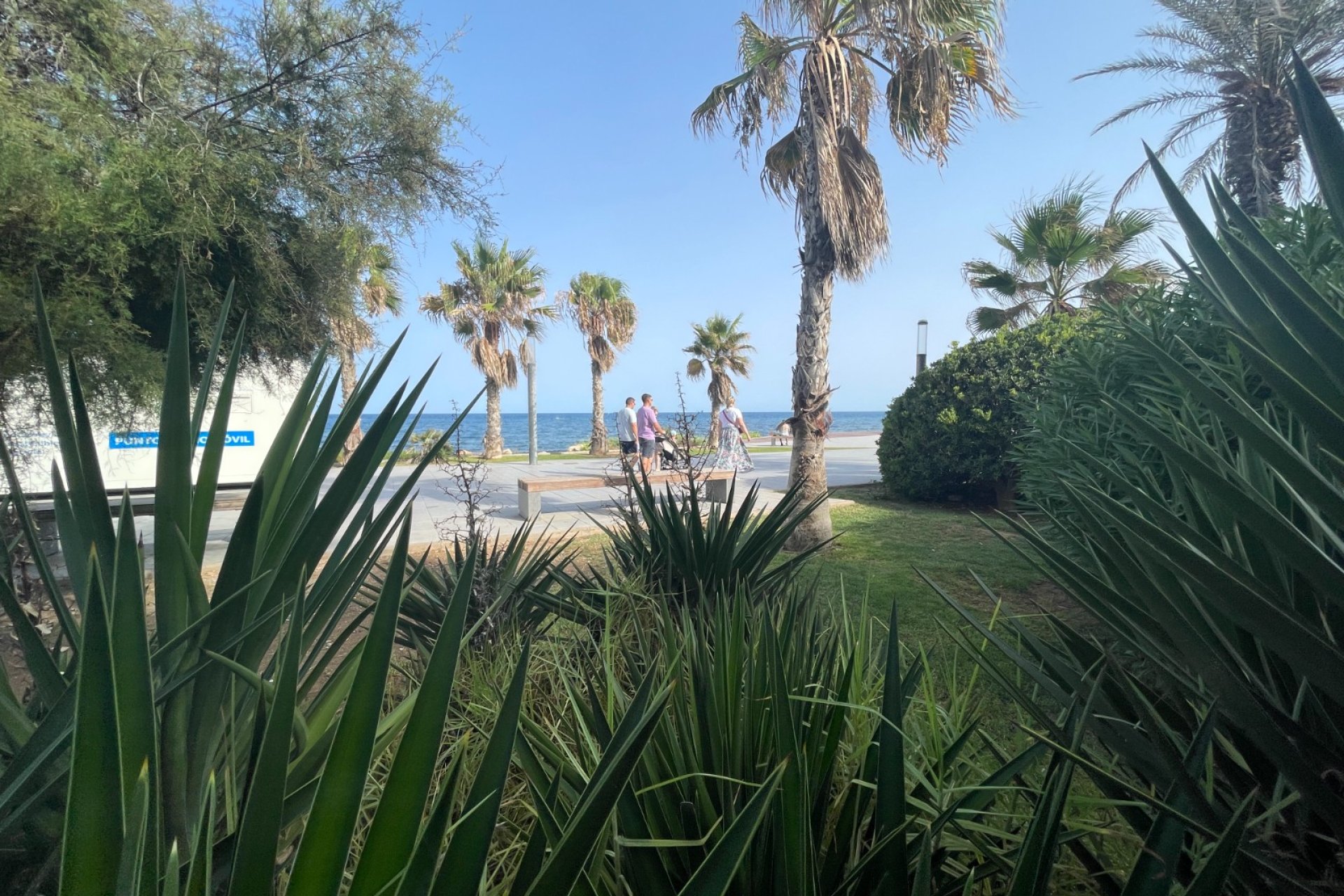 Herverkoop - Commercieel - Torrevieia