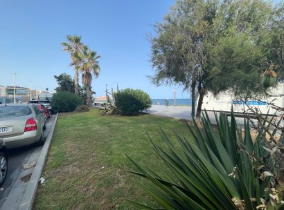 Kommerziell · Wiederverkauf - Torrevieia · Comunidad Valenciana · Alicante (Costa Blanca) · Spanien