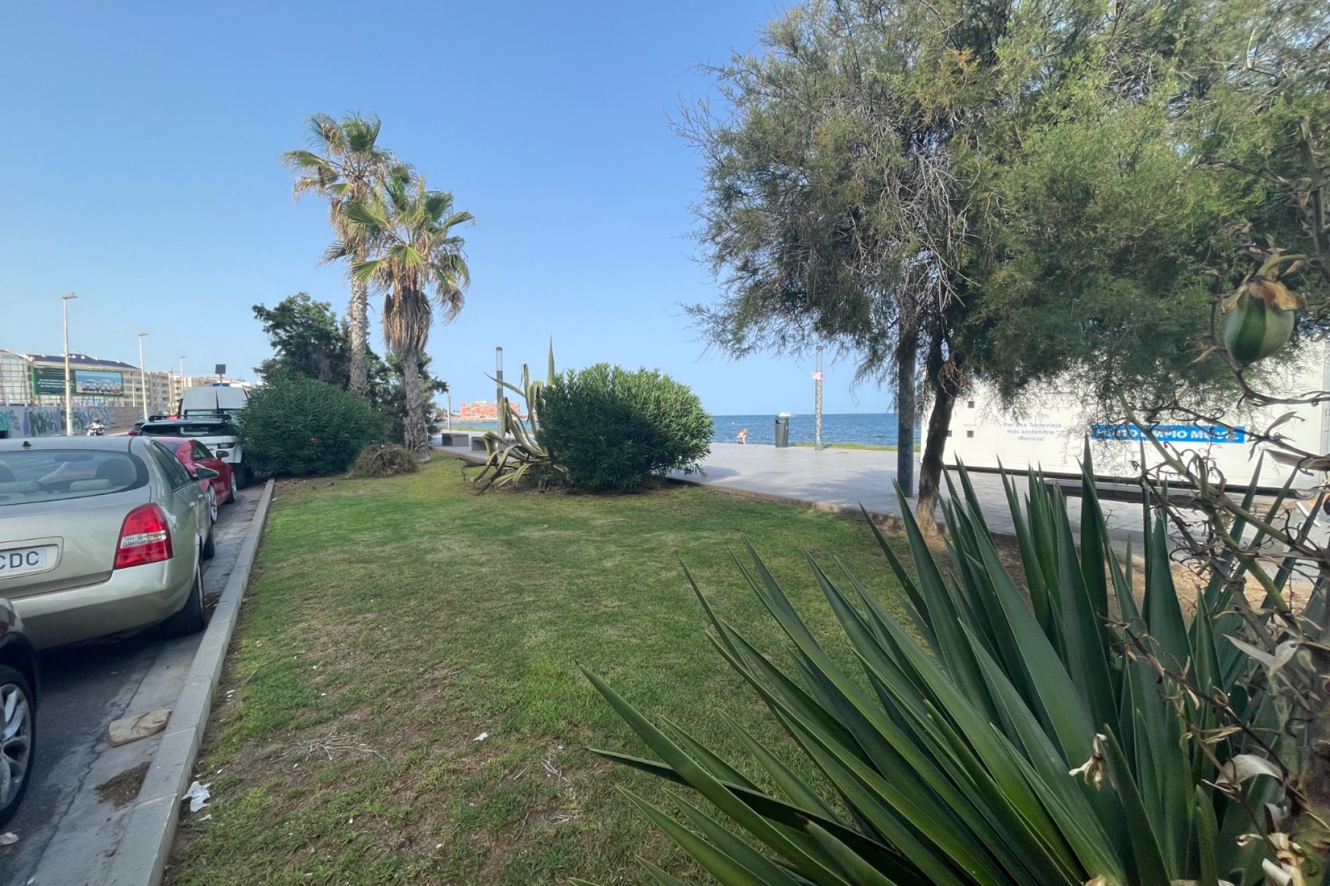 Herverkoop - Commercieel - Torrevieia
