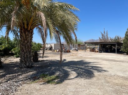 Villa · Wiederverkauf - Crevillente · Alicante · Spanien