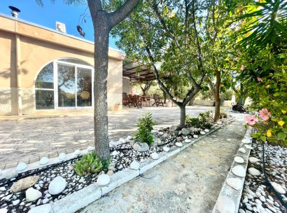 Finca / Country Property · Wiederverkauf - Crevillente · Alicante · Spanien