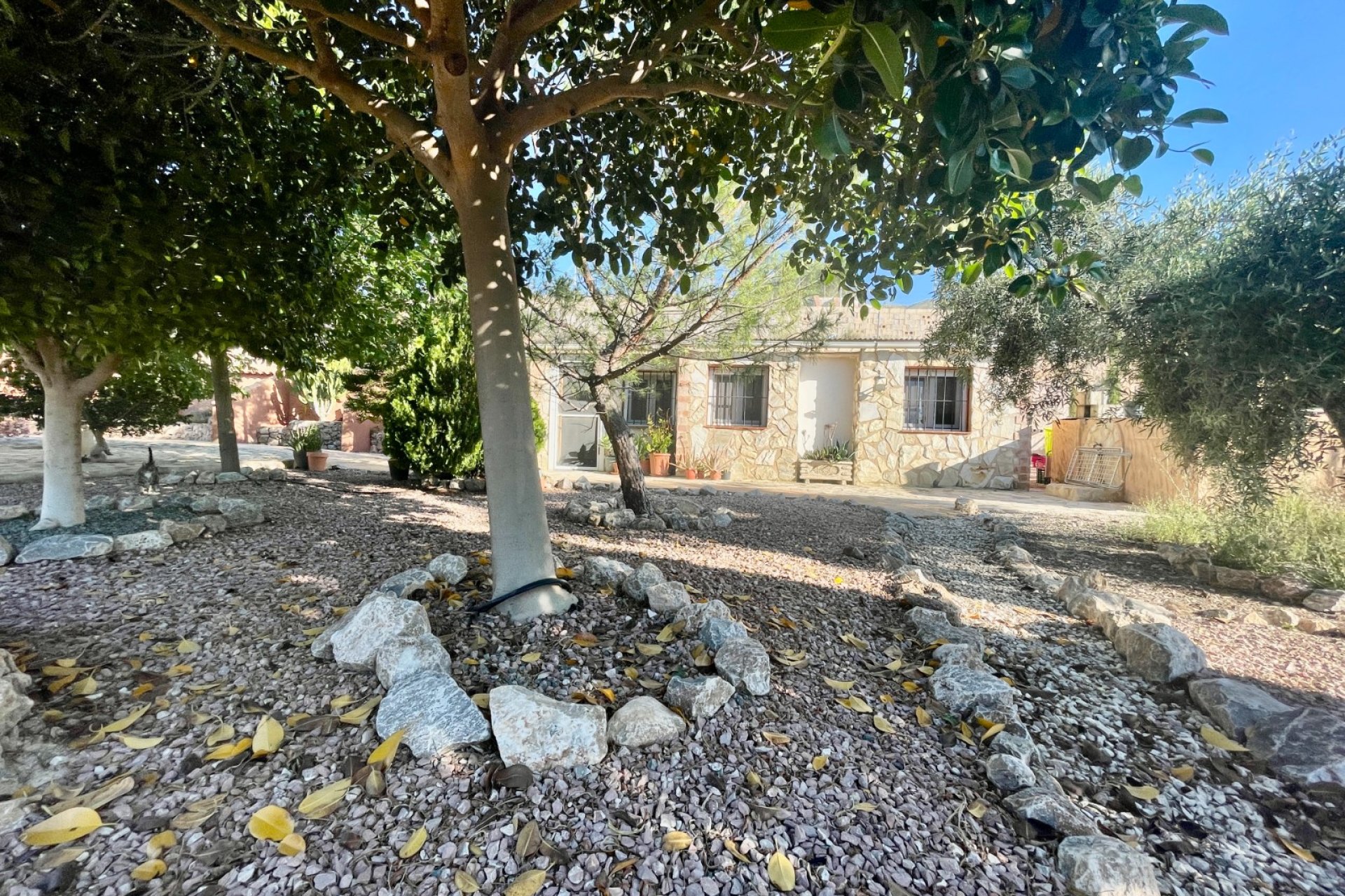 Wiederverkauf - Finca / Country Property - Crevillente