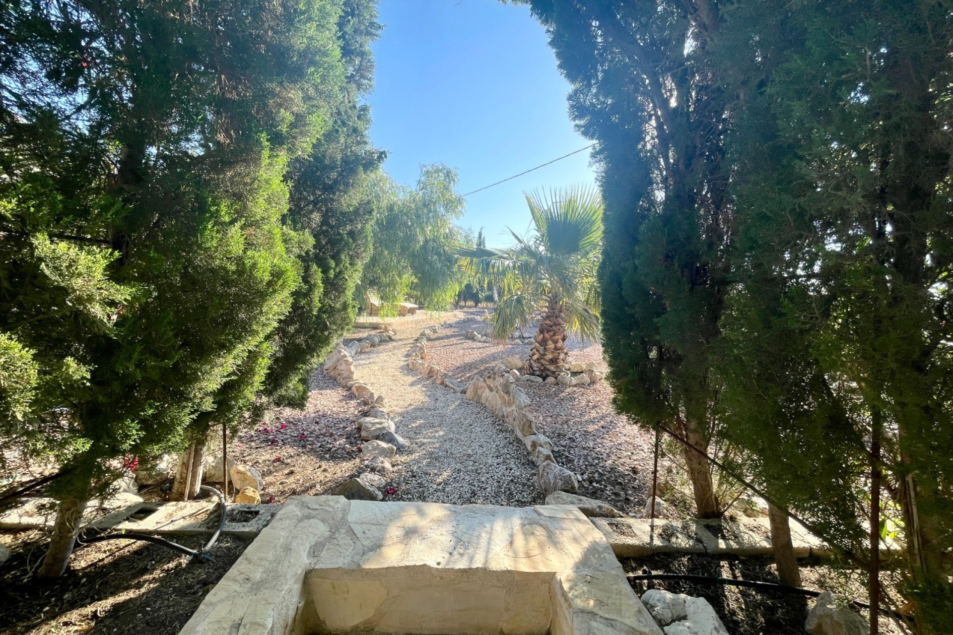 Wiederverkauf - Finca / Country Property - Crevillente
