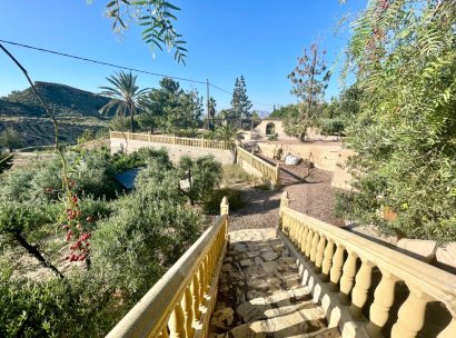 Finca / Country Property · Wiederverkauf - Crevillente · Alicante · Spanien