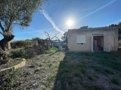 Finca / Country Property · Wiederverkauf - Aspe · Alicante · Spanien