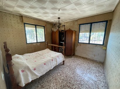 Finca / Country Property · Wiederverkauf - Aspe · Alicante · Spanien
