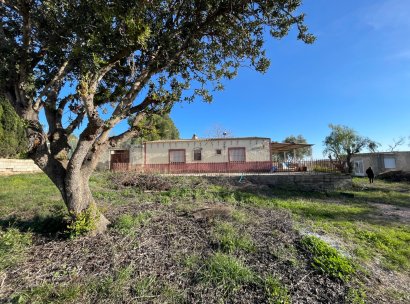 Finca / Country Property · Wiederverkauf - Aspe · Alicante · Spanien