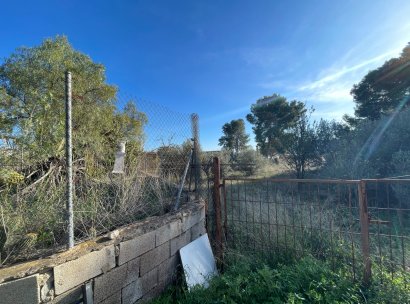 Finca / Country Property · Wiederverkauf - Aspe · Alicante · Spanien
