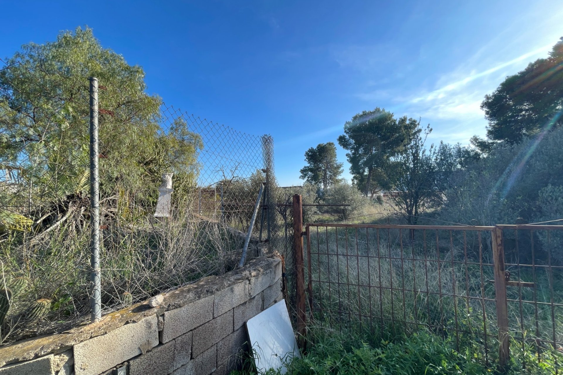 Resale - Finca / Country Property - Aspe