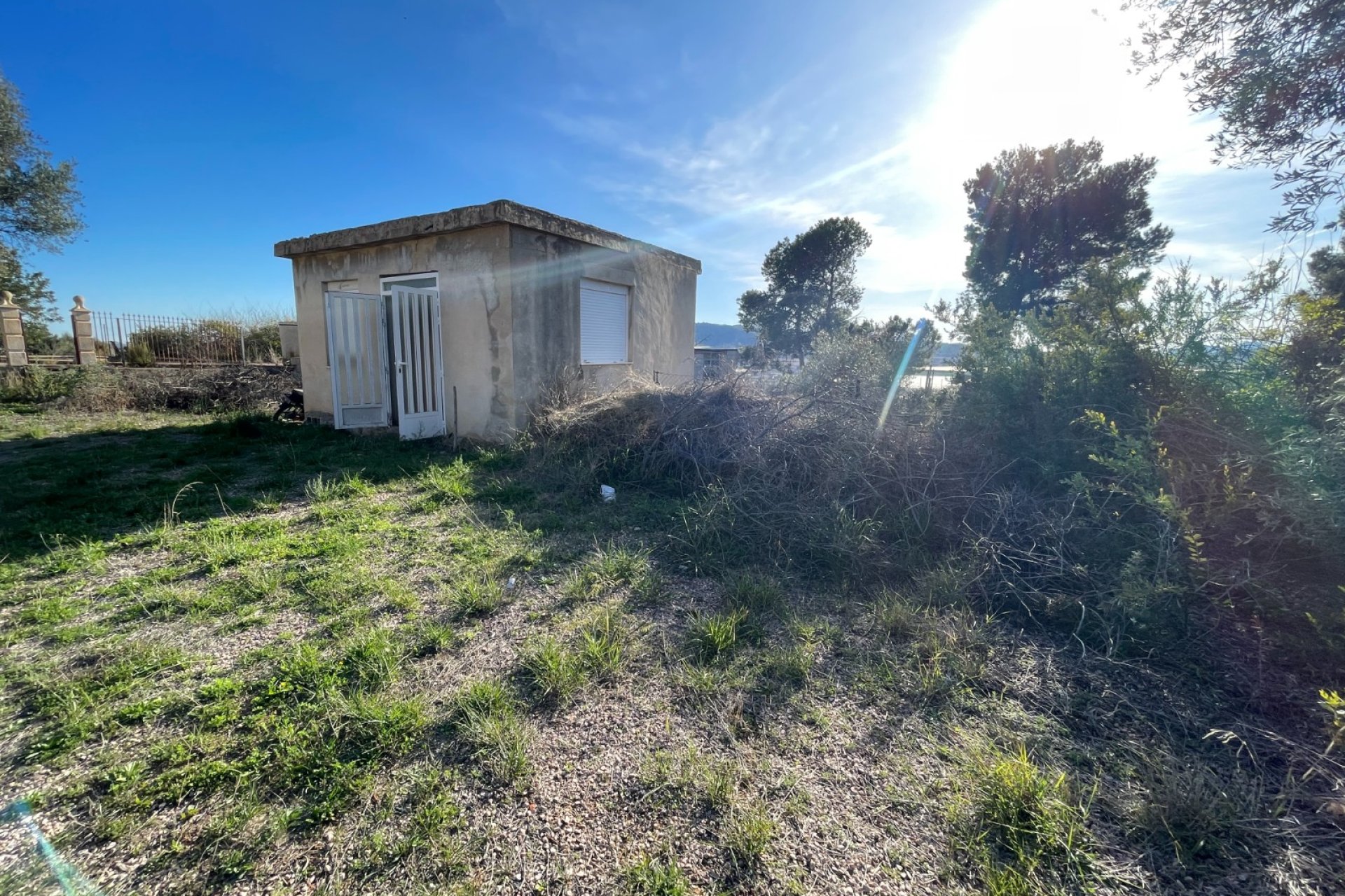 Resale - Finca / Country Property - Aspe