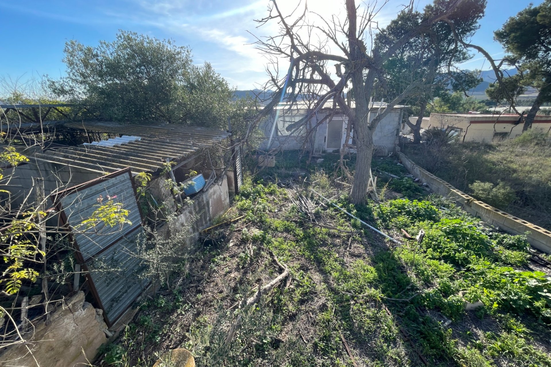 Resale - Finca / Country Property - Aspe