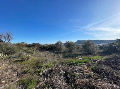 Finca / Country Property · Wiederverkauf - Aspe · Alicante · Spanien