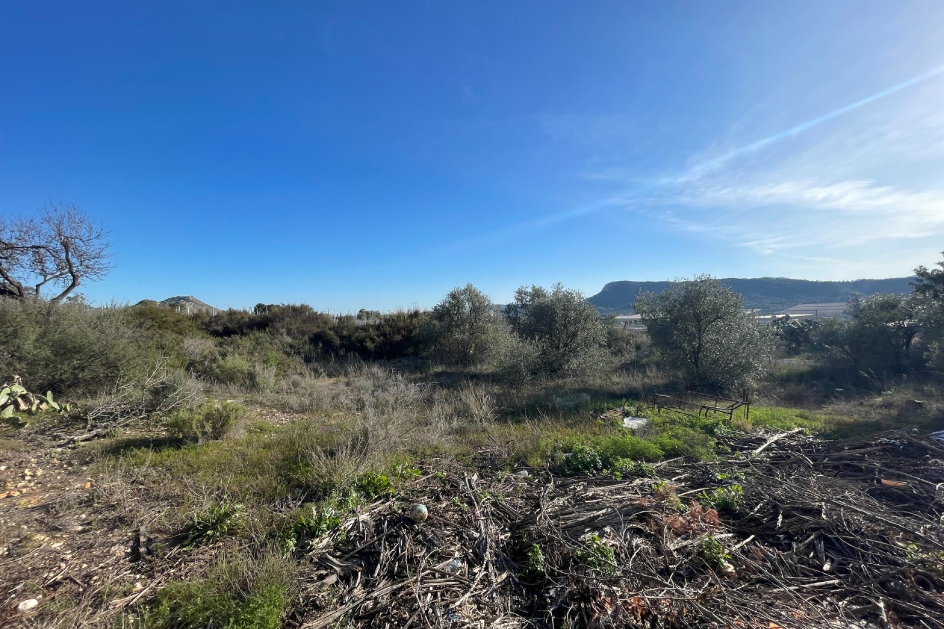 Resale - Finca / Country Property - Aspe