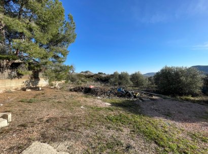 Finca / Country Property · Wiederverkauf - Aspe · Alicante · Spanien