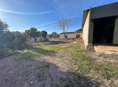 Finca / Country Property · Wiederverkauf - Aspe · Alicante · Spanien