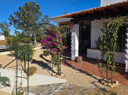 Villa · Reventa - Fuente Alamo · Las Palas · Murcia · España