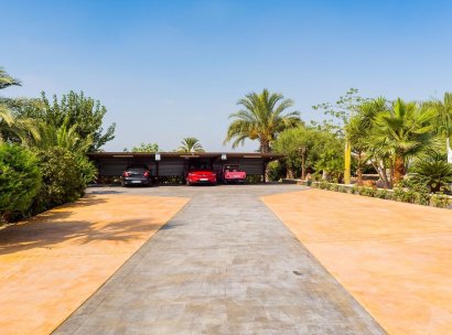 Finca / Country Property · Wiederverkauf - Almoradí · Alicante · Spanien