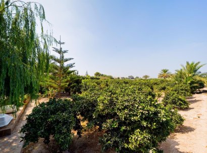 Finca / Country Property · Wiederverkauf - Almoradí · Alicante · Spanien