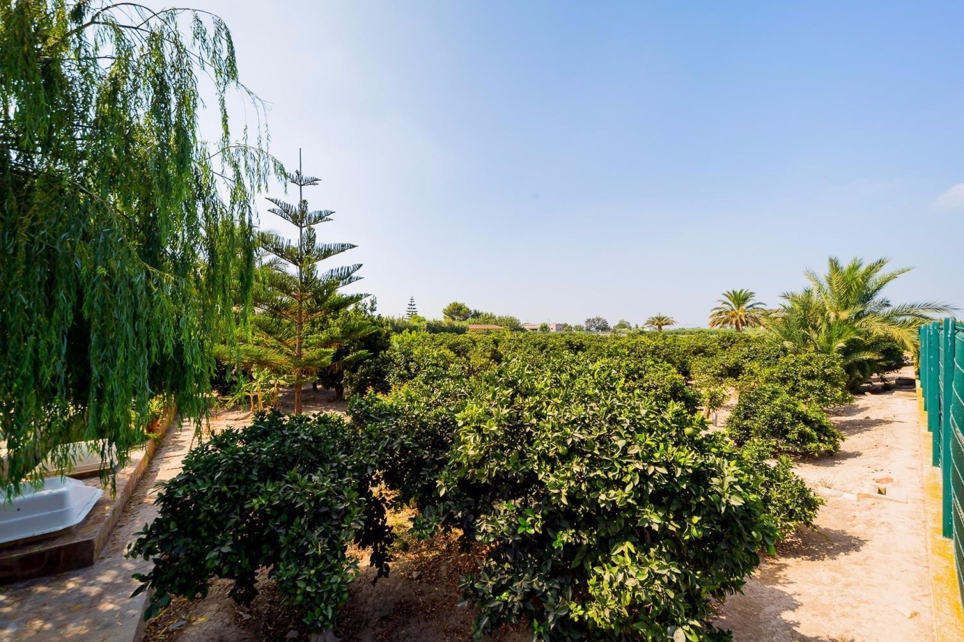 Wiederverkauf - Finca / Country Property - Almoradí