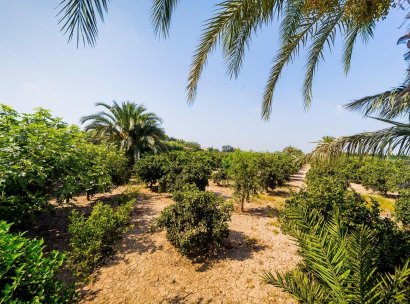 Finca / Country Property · Wiederverkauf - Almoradí · Alicante · Spanien