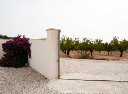 Finca / Country Property · Återförsäljning - Macisvenda · Murcia / Costa Calida · Spanien